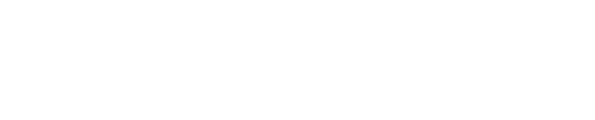 IDN Media